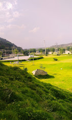 Dawar Farms