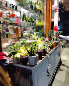DP Saini Florist And Bakers